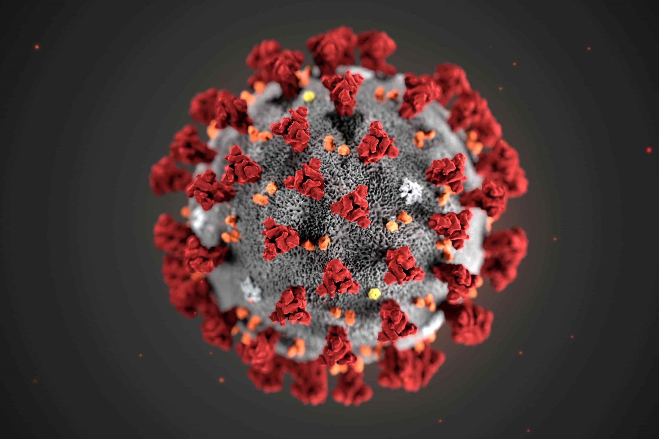 Omicron vs. Delta Virus