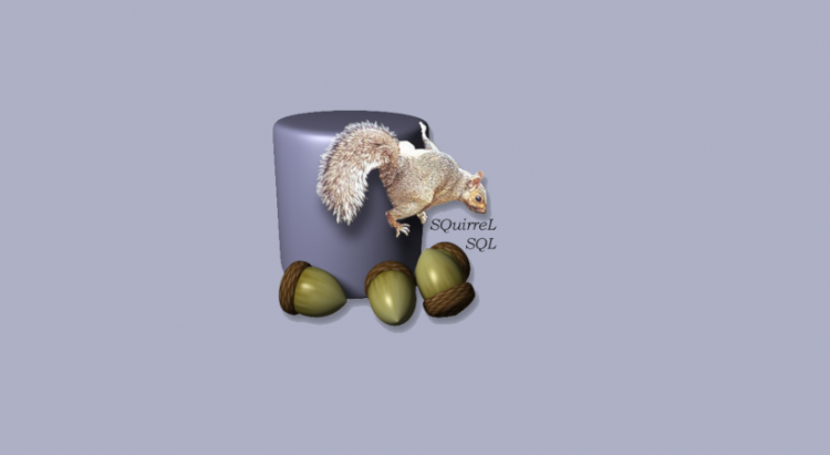 SQuirreL SQL
